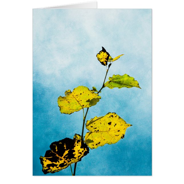 Cartão Folhas de outono (Frente)