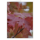 Cartão Folhas de outono do ~ da acção de graças