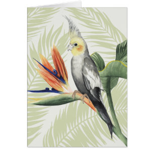 Cartão Folhas de Palma com Pássaro Negro