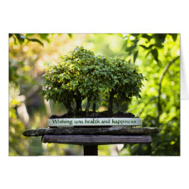 Cartão Folhas de Pote da Floresta Verde de Bonsai