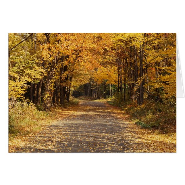 Cartão Folhas de queda (Frente Horizontal)