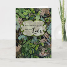 Folhas de simpatia de gato e colagem de gato 