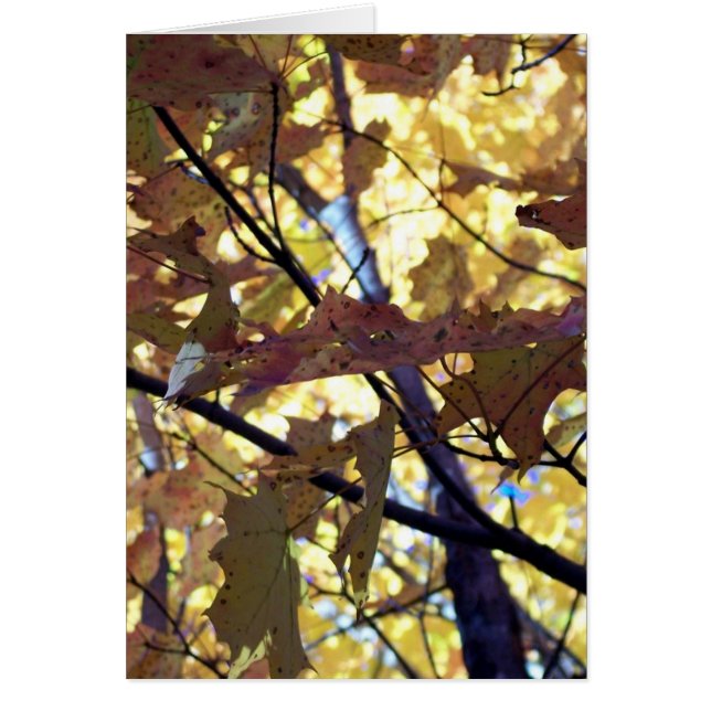 Cartão Folhas Douradas do outono (Frente)