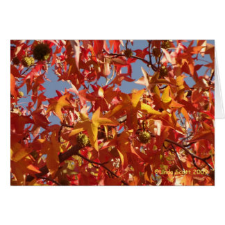 Cartão Folhas líquidas do âmbar