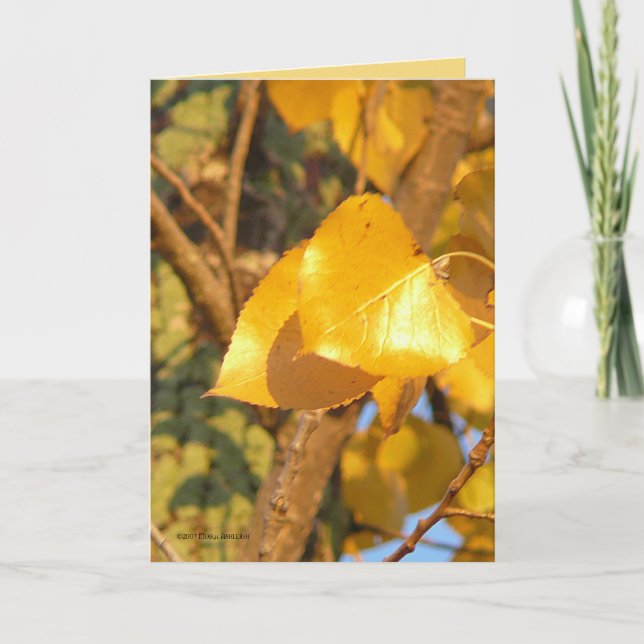 Cartão Folhas Que Falam (Frente)