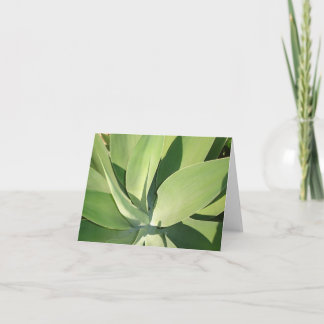 Cartão Folhas & sombras v2