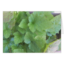 Cartão Folhas verdes