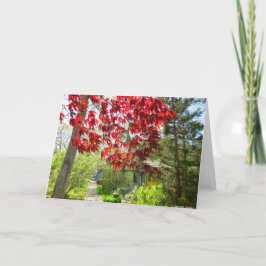 Cartão Folhas Vermelhas e Caminho de Martha