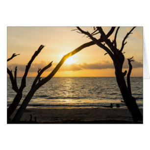 Cartão Folly Sunrise Tree Silhouette