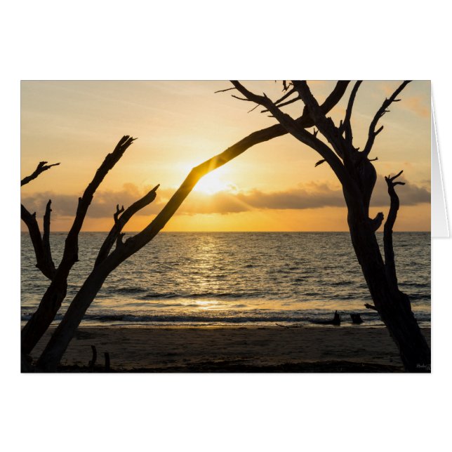 Cartão Folly Sunrise Tree Silhouette (Frente horizontal)