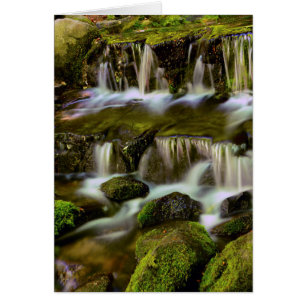Cartão Fonte de samambaia, Parque Nacional de Yosemite, C