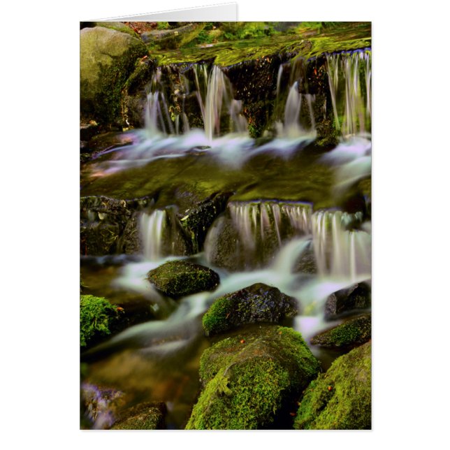 Cartão Fonte de samambaia, Parque Nacional de Yosemite, C (Frente)