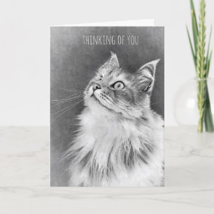 Cartão For the Loss of a Pet Cat (card)