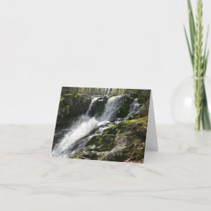 Cartão Fora das Terras