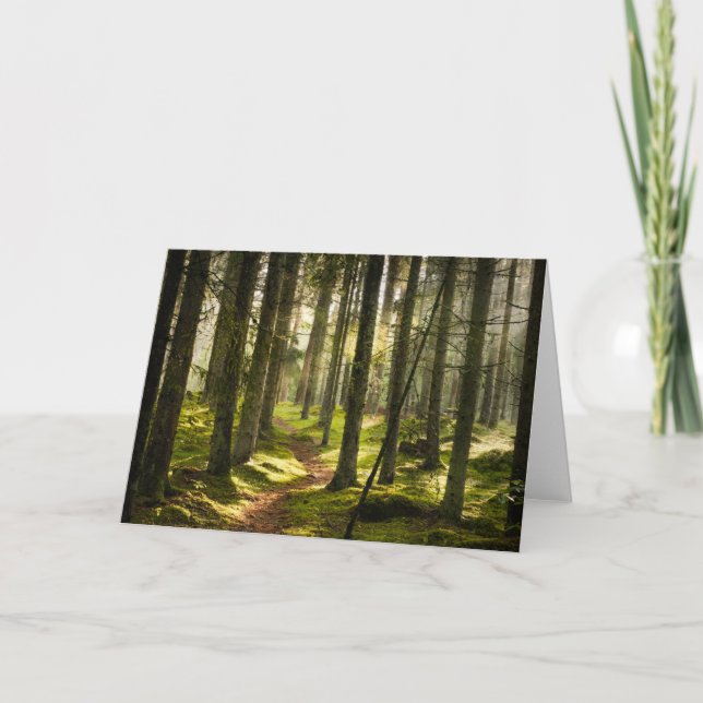 Cartão Forests | Boreal Forest Sweden (Frente)