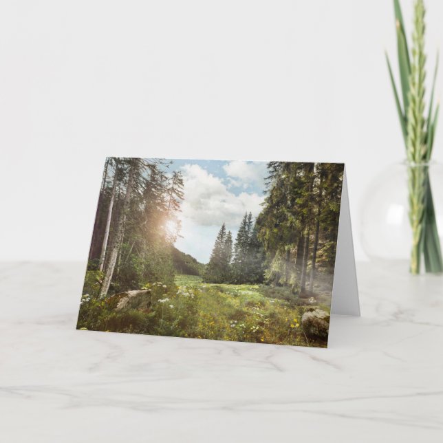 Cartão Forests | Sun Peeking Thru (Frente)