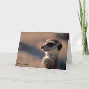 Cartão Forever Mozart! Greetings Card