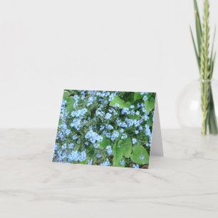 Cartão *Forget-Me-Not* Blank Notecards