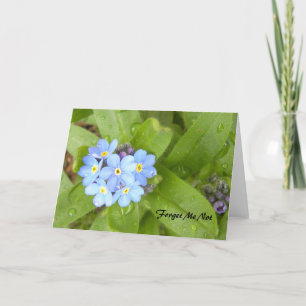 Cartão Forget Me Not Greeting Card
