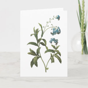 Cartão forget-me-not(Myosotis scorpioides) by Redouté
