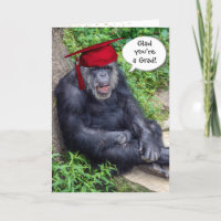 Formando Chimpanzé com Boné Vermelho