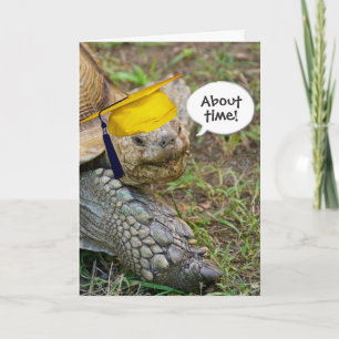 Cartão Formando Tortoise Antigo com Boné Dourado