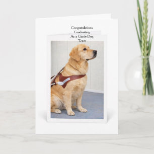 Cartão Formatura do Cão Guia Retriever Dourado