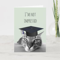 Formatura Não Impressionada Gato Bravo Humor