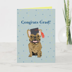 Cartão Formatura, Parabéns Graduado! Bulldog Francês