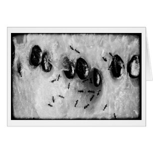 Cartão formigas surfadoras