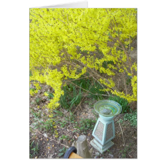 Cartão Forsythia in Bloom