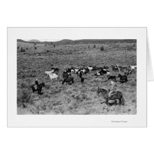 Cartão Fort Rock, Oregon Cowboy no Jardim do Diabo