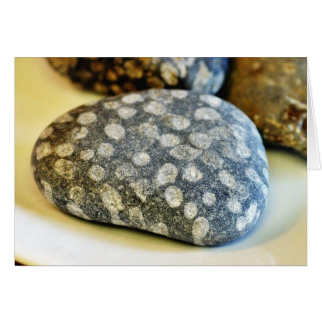 Cartão Fossils Rocks Coral (Frente Horizontal)