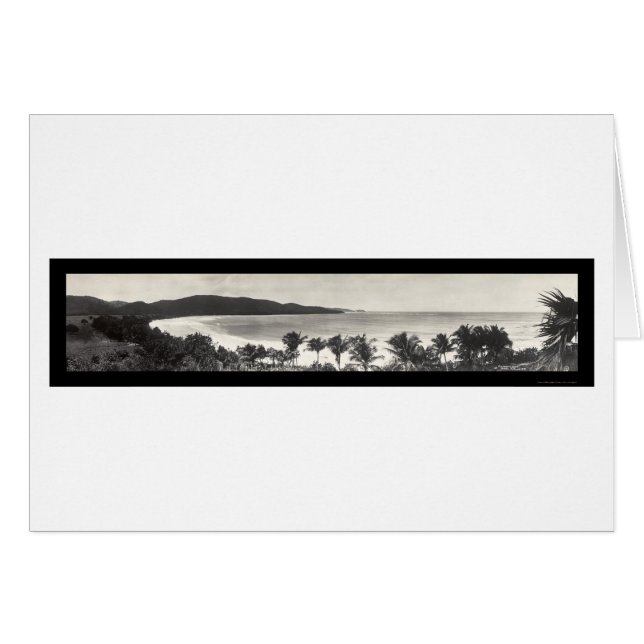 Cartão Foto 1914 do flamingo de Puerto Rico (Frente Horizontal)