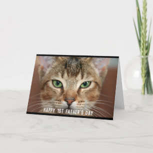 Cartão Foto 1rua De Gato