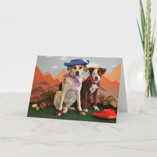 Cartão Foto, 2 cães ocidentais (Frente)