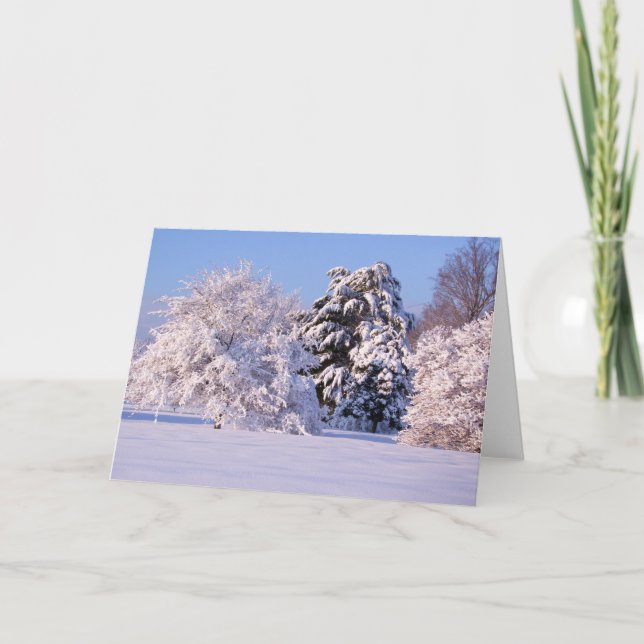 Cartão Foto bonita da cena da neve (Frente)