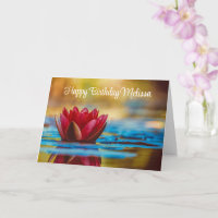 Foto bonito de uma Flor de Lotus em um Aniversário