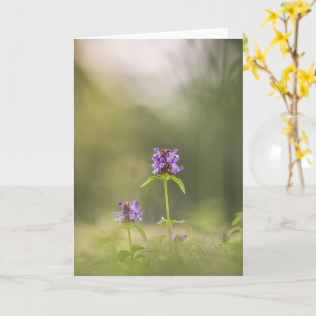 Cartão Foto comum de autorrecuperação (Flor Amarela)