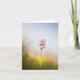Cartão Foto da Natureza da Orquídea Selvagem