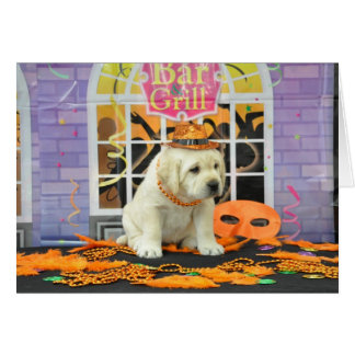 Cartão Foto da semana 5 da agitação