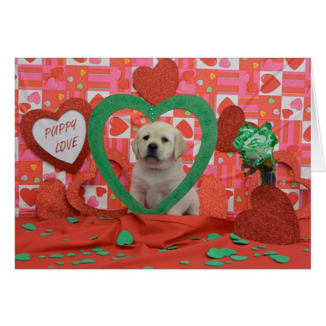 Cartão Foto da semana 6 do tornado (Frente Horizontal)