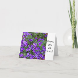 Cartão Foto das flores do Phlox púrpura em um Obrigado