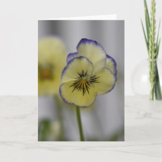 Cartão Foto de Amor-Perfeito Amarelo e Violeta – Cottagec