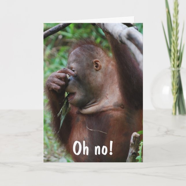 Cartão Foto de aniversário de 30 anos animal bonitinho (Frente)