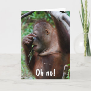 Cartão Foto de aniversário de 30 anos animal bonitinho