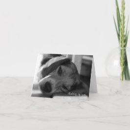 Cartão Foto de aproximação do Beagle Dog Snoopy