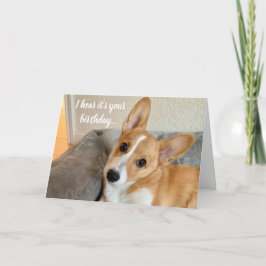 Cartão Foto de Cachorro Engraçado e Bonito, Aniversário