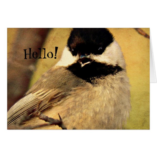 Cartão Foto de Chickadee Preto (Frente Horizontal)