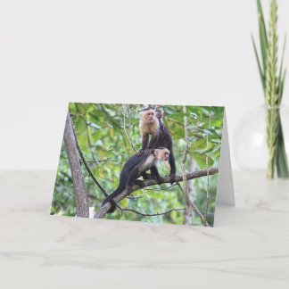 Cartão Foto de família Branco-Enfrentada do macaco